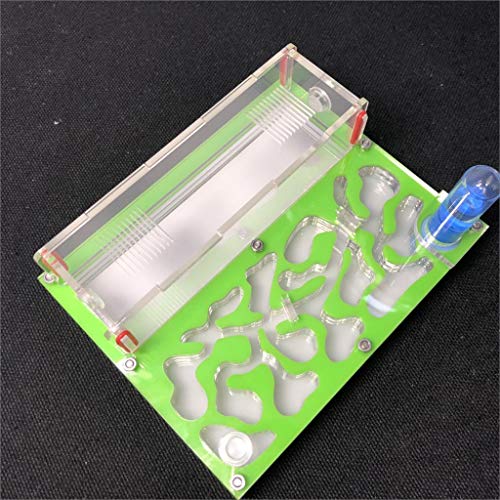 Ant Farm Educational Formicarium für LIVE Ameisen Reagenzglas Feuchtigkeit großer Raum Acryl Ameisennest, Insektenameisen Villa House Ants Ecological Workshop (Grün) von ANT GRAPE