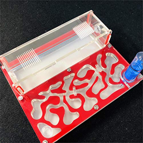 Ant Farm Educational Formicarium für LIVE Ameisen Reagenzglas Feuchtigkeit großer Raum Acryl Ameisennest, Insektenameisen Villa House Ants Ecological Workshop (Rot) von ANT GRAPE