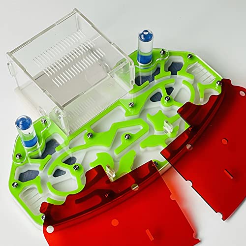Große Größe 24 * 18cm Arylisches AMEISENNEST, Ameisenfarm, Ameisenlebensraum, FORMICARIUM MIT EINGEBAUTER Arena „PLATTFORM“ (Green) von ANT GRAPE