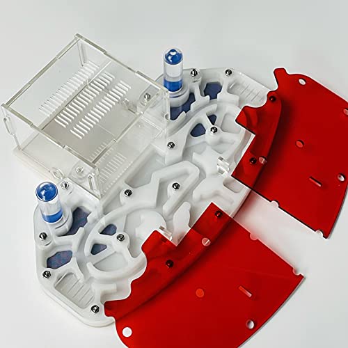 Große Größe 24 * 18cm Arylisches AMEISENNEST, Ameisenfarm, Ameisenlebensraum, FORMICARIUM MIT EINGEBAUTER Arena „PLATTFORM“ (White) von ANT GRAPE