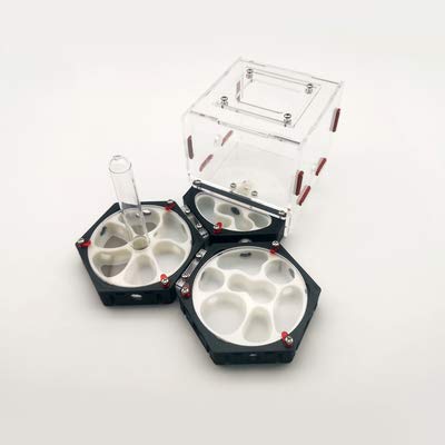 ANT GRAPE 3D-Druck hochwertige DIY Formicarium Ameisenfarm,Raumstation feuchtigkeitsspendende Idee Reptilien Terrarium Ameisen Bauernhaus (H) von ANT GRAPE