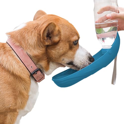 ANTDEG Pet Safe Drink Well Platinum Haustierbrunnen für Hunde und Katzen, 80 oz Wasserkapazität, freistehender Brunnen mit Filter in Schwarz (Dunkelblau) von ANTDEG