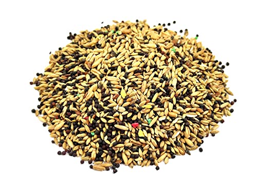 Ameisenfutter┃ 100 gr Samen Typ 2 für Körner fressende Ameisenköniginnen┃Ameisenkolonie -Ameisenfarm Ameisenfutter┃ 100 gr Samen Typ 2 für Körner fressende Ameisenköniginnen┃Ameisenkolonie -Ameisenfarm von ANTHILLSHOP