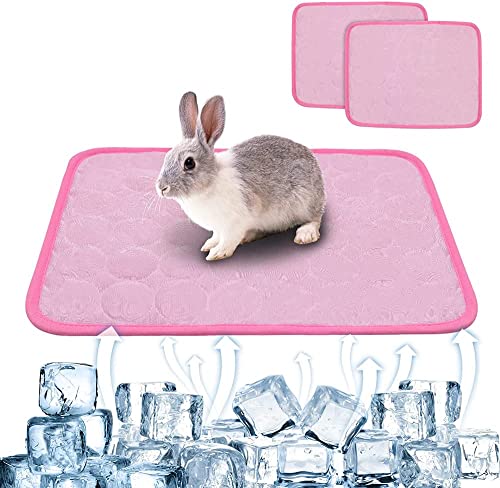 ANUBE 2 x Sommer-Kühlmatte für Kaninchen, waschbares Hasenbett, Kaninchenbett, Meerschweinchen, Käfigauskleidung, Hamster-Urinierkissen, Fleece-Schlafkissen für Eichhörnchen, 40 x 30 cm (Rosa) von ANUBE