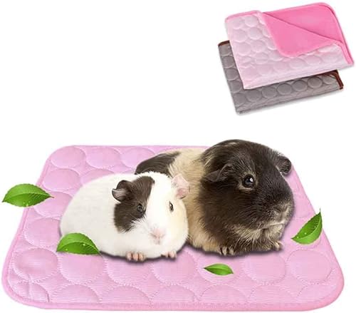 ANUBE 2er-Pack Meerschweinchen Bett Hasenbett für den Sommer, Haustier-Kühlmatte für Kaninchen, Meerschweinchen, Chinchillas, waschbar, atmungsaktiv, Eisseide, 30 x 34,8 cm (Braun + Pink) von ANUBE