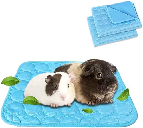 ANUBE 2er-Pack Meerschweinchen Bett Hasenbett für den Sommer, Haustier-Kühlmatte für Kaninchen, Meerschweinchen, Chinchillas, waschbar, atmungsaktiv, Eisseide, 30 x 34,8 cm (blau + blau) von ANUBE