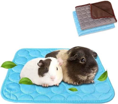 ANUBE 2er-Pack Meerschweinchen Bett Hasenbett für den Sommer, Haustier-Kühlmatte für Kaninchen, Meerschweinchen, Chinchillas, waschbar, atmungsaktiv, Eisseide, 30 x 34,8 cm (blau + braun) von ANUBE