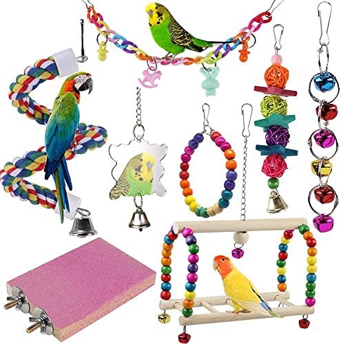ANUBE Vogelspielzeug, Papageienschaukel, Spielzeug mit bunten Holzperlen, Glocken und Vogelkäfig, zum Aufhängen von kleinen Sittichen, Nymphensittiche, Finken, 8 Stück ANUBE Vogelspielzeug, Papageienschaukel, Spielzeug mit bunten Holzperlen, Glocken und Vogelkäfig, zum Aufhängen von kleinen Sittichen, Nymphensittiche, Finken, 8 Stück von ANUBE