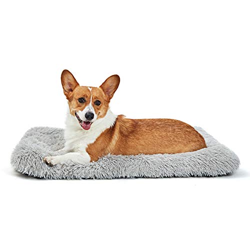 ANWA Dog Bed Medium Size Dogs, Washable Dog Crate Bed Cushion, Dog Crate Pad Medium Dogs 30 INCH ANWA Dog Bed Medium Size Dogs, Washable Dog Crate Bed Cushion, Dog Crate Pad Medium Dogs 30 INCH von ANWA