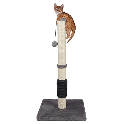 ANWA Hohe Kratzbäume für Indoor-Katzen und Kätzchen, 81,3 cm vertikaler Kratzbaum mit verstärktem Boden, Premium-Sisal-Kratzbaum mit baumelndem Plüschball und selbstpflegender Bürste von ANWA