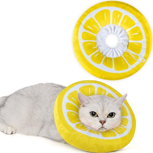 ANWA Katzenkegel, Zitrone, M von ANWA