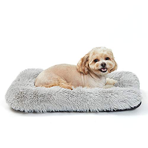 ANWA Puppy Dog Bed Small Dogs, Washable Dog Crate Bed Cushion, Dog Crate Pad Small Dogs 24 INCH ANWA Puppy Dog Bed Small Dogs, Washable Dog Crate Bed Cushion, Dog Crate Pad Small Dogs 24 INCH von ANWA