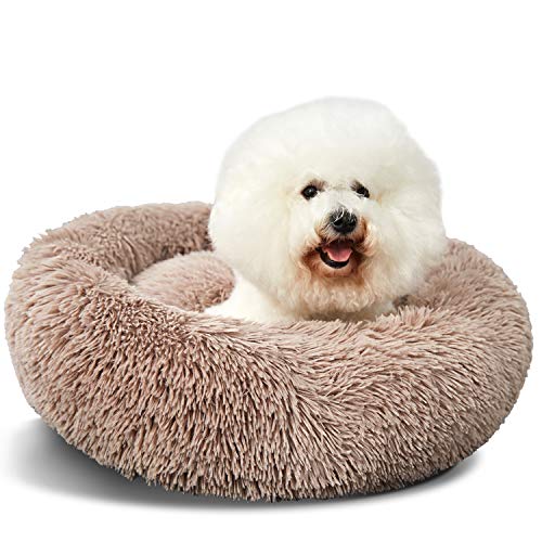 ANWA Rundes Hundebett, waschbar, klein, Donut-Hundebett für kleine Hunde, bequem, beruhigendes Bett ANWA Rundes Hundebett, waschbar, klein, Donut-Hundebett für kleine Hunde, bequem, beruhigendes Bett von ANWA