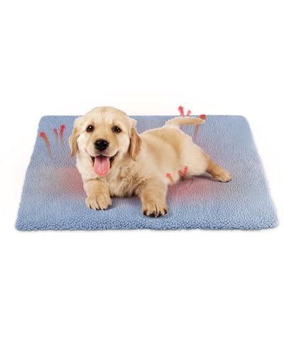 ANWA Selbstheizende Katzenbett-Matte, 76 x 51 cm, maschinenwaschbar, rutschfeste Thermo-Haustierunterlage für drinnen und draußen, Katzen und kleine Hunde, warme Corddecke ANWA Selbstheizende Katzenbett-Matte, 76 x 51 cm, maschinenwaschbar, rutschfeste Thermo-Haustierunterlage für drinnen und draußen, Katzen und kleine Hunde, warme Corddecke von ANWA