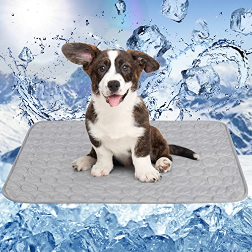 ANWA Wiederverwendbare Hundekühlmatte Groß 70 x 55 cm, Einfach Falten Haustier Kühlmatte für Zuhause Reisen, Selbstkühlendes Pad für Hunde Katzen im heißen Sommer ANWA Wiederverwendbare Hundekühlmatte Groß 70 x 55 cm, Einfach Falten Haustier Kühlmatte für Zuhause Reisen, Selbstkühlendes Pad für Hunde Katzen im heißen Sommer von ANWA