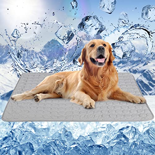 ANWA Wiederverwendbare Kühlmatte für Hunde, extra groß, 100 x 70 cm, einfach zu falten, Haustier-Kühlmatte für Zuhause, Reisen, selbstkühlendes Pad für Hunde und Katzen im heißen Sommer ANWA Wiederverwendbare Kühlmatte für Hunde, extra groß, 100 x 70 cm, einfach zu falten, Haustier-Kühlmatte für Zuhause, Reisen, selbstkühlendes Pad für Hunde und Katzen im heißen Sommer von ANWA