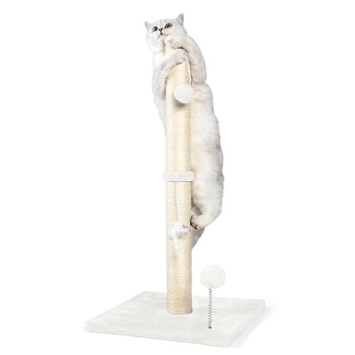 Anwa 81,3 cm hohe Katzenkratzbäume für Hauskatzen, 3-in-1 Katzenkratzbaum mit Plüschtieren, hochqualitativer Sisalpfosten für Katzen jeden Alters mit verstärktem stabilem Boden, Cremeweiß von ANWA