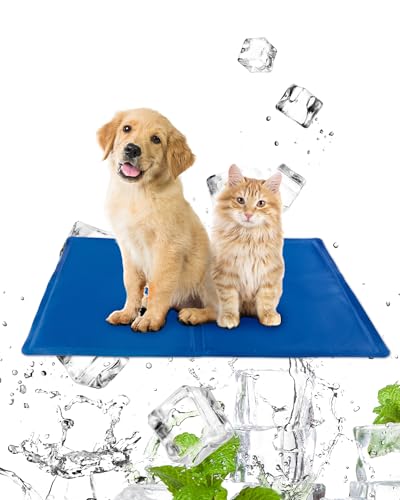 Kühlmatte für Hunde, Größe M, 65 x 50 cm, ungiftige Gel-Kühlmatte für Hunde und Erwachsene, perfektes Sommerschlafzubehör für Zuhause und Reisen von ANWA
