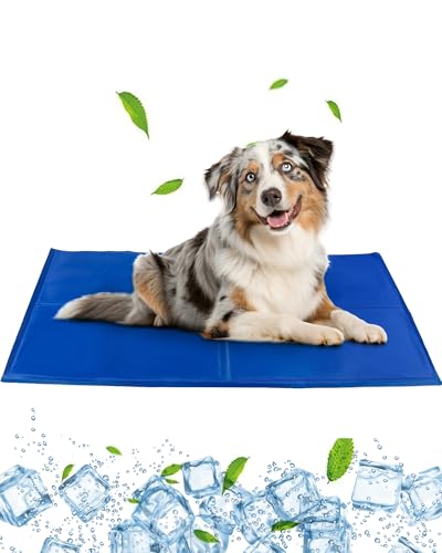 Kühlmatte für Hunde, extra groß, 120 x 80 cm, ungiftige Gel-Kühlmatte für Hunde und Erwachsene, perfektes Sommerschlafzubehör für Zuhause und Reisen von ANWA