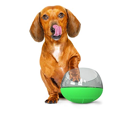 AnyPet Langsames Fressnapf für kleine, mittelgroße Hunde und Katzen, kein Verschütten, große Kapazität, interaktive Futterstation von ANYPET