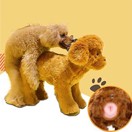 ANYURAN Hunde-Schlaf-Estrus-Spielzeug, Interaktives Schlafspielzeug für Hunde, Haustier, Hund, Relief-Spielzeug für männliche Estrus-Hund, Hunde, schlafender Partner, Vent-Spielzeug,Medium ANYURAN Hunde-Schlaf-Estrus-Spielzeug, Interaktives Schlafspielzeug für Hunde, Haustier, Hund, Relief-Spielzeug für männliche Estrus-Hund, Hunde, schlafender Partner, Vent-Spielzeug,Medium von ANYURAN