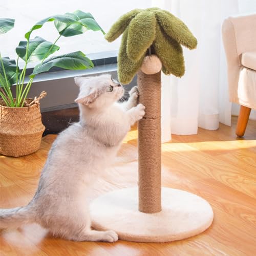 Katzenkratzbaum 20,4 Zoll Kratzbaum für Hauskatzen mit hängendem Ball, EIN Muss für glückliche und gesunde Katzen von ANram
