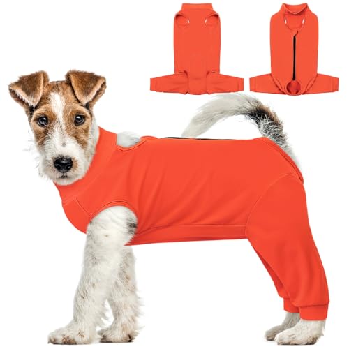 AOFITEE Erholungsmanschette für Hinterbeine, Genesungsanzug für weibliche männliche Hunde, Anti-Lecken, Hinterbeinmanschette für kleine Hunde, Wundabdeckung für Bauch, kegelalternative Wundheilung AOFITEE Erholungsmanschette für Hinterbeine, Genesungsanzug für weibliche männliche Hunde, Anti-Lecken, Hinterbeinmanschette für kleine Hunde, Wundabdeckung für Bauch, kegelalternative Wundheilung von AOFITEE