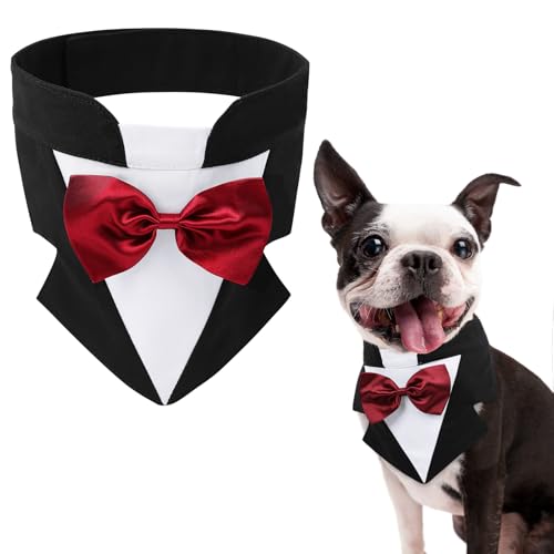 AOFITEE Formal Dog Smoking Medium Dog Wedding Bandana Collar with Bow Tie, Adjustable Dog Birthday Costume Valentines Outfits, Bowtie for Medium Dogs Party Smoking Wedding Outfit, Black M AOFITEE Formal Dog Smoking Medium Dog Wedding Bandana Collar with Bow Tie, Adjustable Dog Birthday Costume Valentines Outfits, Bowtie for Medium Dogs Party Smoking Wedding Outfit, Black M von AOFITEE