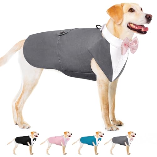 AOFITEE Hund Smoking Hund Anzug & Bandana Set, Hund Hochzeit Party Suit Hundefliege Shirt Vest, Haustier Anzug Kostüm Hund Kleidung mit Abnehmbarer Fliege für Halloween, Christmas,XXL AOFITEE Hund Smoking Hund Anzug & Bandana Set, Hund Hochzeit Party Suit Hundefliege Shirt Vest, Haustier Anzug Kostüm Hund Kleidung mit Abnehmbarer Fliege für Halloween, Christmas,XXL von AOFITEE