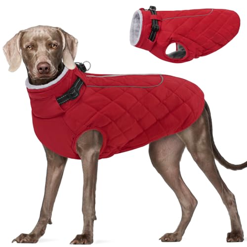 AOFITEE Hunde-Winterjacke für extra große Hunde, warmer Rollkragen-Hundemantel mit Reißverschluss hinten, wasserdichter Hundepuffermantel für große Hunde, Hundemantel, warmer Schneeanzug für Deutscher AOFITEE Hunde-Winterjacke für extra große Hunde, warmer Rollkragen-Hundemantel mit Reißverschluss hinten, wasserdichter Hundepuffermantel für große Hunde, Hundemantel, warmer Schneeanzug für Deutscher von AOFITEE