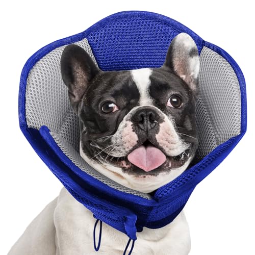 AOFITEE Halskrause Hund, Hundekragen Leckschutz Weich für Groß Mittel Klein Hunde, Einstellbare Hundekragen Bequem Hunde Halskrause für Hunde, Leckschutz Hund Nach Op, Hunde Halskrause Leckschutz AOFITEE Halskrause Hund, Hundekragen Leckschutz Weich für Groß Mittel Klein Hunde, Einstellbare Hundekragen Bequem Hunde Halskrause für Hunde, Leckschutz Hund Nach Op, Hunde Halskrause Leckschutz von AOFITEE