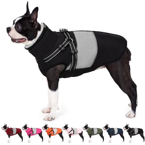 AOFITEE Hundejacke Mittelgroße Hunde, Winter Wasserdicht Hundejacke Hundemantel mit Geschirr, Warmer Wintermantel Reflektierend Winter Outdoor Hundebekleidung für Dackel, Boston Terrier, Schwarz M AOFITEE Hundejacke Mittelgroße Hunde, Winter Wasserdicht Hundejacke Hundemantel mit Geschirr, Warmer Wintermantel Reflektierend Winter Outdoor Hundebekleidung für Dackel, Boston Terrier, Schwarz M von AOFITEE