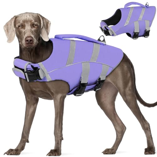 AOFITEE Hundeschwimmweste, Ripstop Hundeschwimmweste zum Schwimmen, Hundeschwimmweste Badeanzug für kleine, mittelgroße und große Hunde von AOFITEE