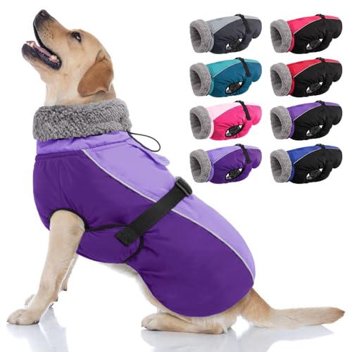 AOFITEE Warmer Hundemantel, Rollkragen, gepolsterter Hunde-Wintermantel mit Loch für die Leine, verstellbar, reflektierend, wasserdichte Hunde-Schneejacke für kaltes Wetter, Hundemäntel für kleine, AOFITEE Warmer Hundemantel, Rollkragen, gepolsterter Hunde-Wintermantel mit Loch für die Leine, verstellbar, reflektierend, wasserdichte Hunde-Schneejacke für kaltes Wetter, Hundemäntel für kleine, von AOFITEE