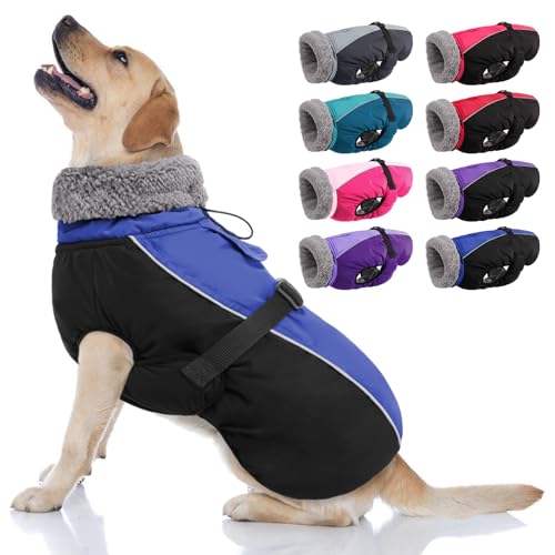 AOFITEE Warmer Hundemantel, Rollkragen, gepolsterter Hunde-Wintermantel mit Loch für die Leine, verstellbar, reflektierend, wasserdichte Hunde-Schneejacke für kaltes Wetter, Hundemäntel für kleine, AOFITEE Warmer Hundemantel, Rollkragen, gepolsterter Hunde-Wintermantel mit Loch für die Leine, verstellbar, reflektierend, wasserdichte Hunde-Schneejacke für kaltes Wetter, Hundemäntel für kleine, von AOFITEE