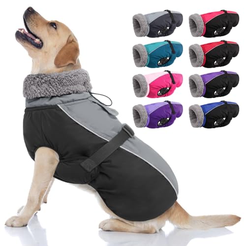 AOFITEE Warmer Hundemantel, Rollkragen gefütterter Hundewintermantel mit Leine Loch verstellbare Hundejacke, wasserdichte Hundeschneejacke für kaltes Wetter Hundemäntel für kleine mittlere große Hunde AOFITEE Warmer Hundemantel, Rollkragen gefütterter Hundewintermantel mit Leine Loch verstellbare Hundejacke, wasserdichte Hundeschneejacke für kaltes Wetter Hundemäntel für kleine mittlere große Hunde von AOFITEE