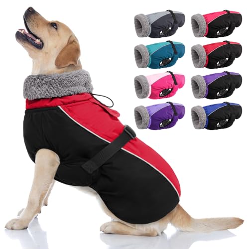 AOFITEE Warmer Hundemantel, Rollkragen gefütterter Hundewintermantel mit Leine Loch verstellbare Hundejacke, wasserdichte Hundeschneejacke für kaltes Wetter Hundemäntel für kleine mittlere große Hunde AOFITEE Warmer Hundemantel, Rollkragen gefütterter Hundewintermantel mit Leine Loch verstellbare Hundejacke, wasserdichte Hundeschneejacke für kaltes Wetter Hundemäntel für kleine mittlere große Hunde von AOFITEE
