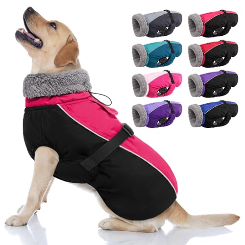 AOFITEE Warmer Hundemantel, Rollkragen gefütterter Hundewintermantel mit Leine Loch verstellbare Hundejacke, wasserdichte Hundeschneejacke für kaltes Wetter Hundemäntel für kleine mittlere große Hunde AOFITEE Warmer Hundemantel, Rollkragen gefütterter Hundewintermantel mit Leine Loch verstellbare Hundejacke, wasserdichte Hundeschneejacke für kaltes Wetter Hundemäntel für kleine mittlere große Hunde von AOFITEE