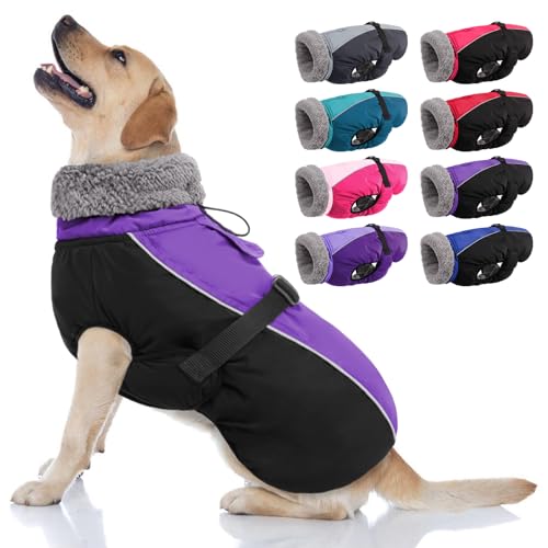 AOFITEE Warmer Hundemantel, Rollkragen gefütterter Hundewintermantel mit Leine Loch verstellbare Hundejacke, wasserdichte Hundeschneejacke für kaltes Wetter Hundemäntel für kleine mittlere große Hunde AOFITEE Warmer Hundemantel, Rollkragen gefütterter Hundewintermantel mit Leine Loch verstellbare Hundejacke, wasserdichte Hundeschneejacke für kaltes Wetter Hundemäntel für kleine mittlere große Hunde von AOFITEE