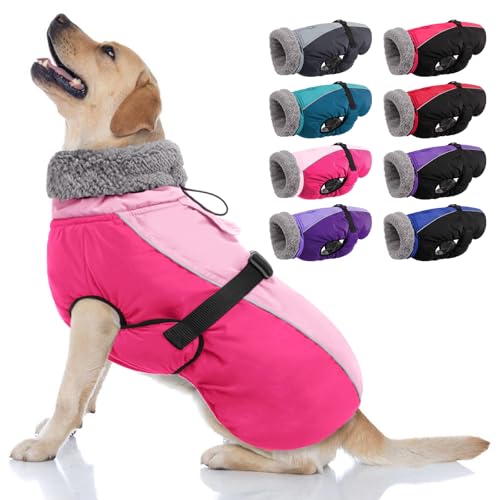 AOFITEE Warmer Hundemantel, Rollkragen-gepolsterter Hunde-Wintermantel mit Loch für die Leine, verstellbare reflektierende Hundejacke, wasserdichte Hunde-Schneejacke für kaltes Wetter, Hundemäntel für AOFITEE Warmer Hundemantel, Rollkragen-gepolsterter Hunde-Wintermantel mit Loch für die Leine, verstellbare reflektierende Hundejacke, wasserdichte Hunde-Schneejacke für kaltes Wetter, Hundemäntel für von AOFITEE