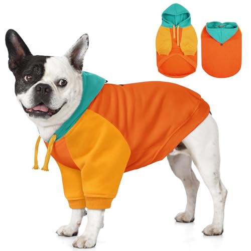 AOFITEE XS Hund Hoodie Kleine Hunde Warm Sweatshirt Kleine Hunde mit Ärmeln Weich Hunde Pullover mit Kapuze Junge Mädchen Kapuzenpullover für Yorkie Chihuahua Shih-tzu, Orange XS von AOFITEE