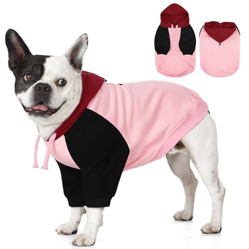AOFITEE XS Hund Hoodie Kleine Hunde Warm Sweatshirt Kleine Hunde mit Ärmeln Weicher Hunde Pullover mit Kapuze Junge Mädchen Kapuzenpullover für Yorkie Chihuahua Shih-tzu, Rosa XS AOFITEE XS Hund Hoodie Kleine Hunde Warm Sweatshirt Kleine Hunde mit Ärmeln Weicher Hunde Pullover mit Kapuze Junge Mädchen Kapuzenpullover für Yorkie Chihuahua Shih-tzu, Rosa XS von AOFITEE