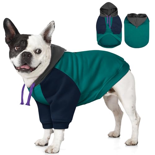 AOFITEE XS Hunde Hoodie Kleine Hunde Warm Sweatshirt Kleine Hunde mit Ärmeln Weicher Hunde Pullover mit Kapuze Junge Mädchen Kapuzenpullover für Yorkie Chihuahua Shih-tzu, Türkis XS AOFITEE XS Hunde Hoodie Kleine Hunde Warm Sweatshirt Kleine Hunde mit Ärmeln Weicher Hunde Pullover mit Kapuze Junge Mädchen Kapuzenpullover für Yorkie Chihuahua Shih-tzu, Türkis XS von AOFITEE