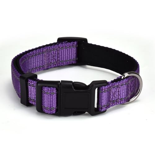 AOKLANT reflektierendes Nylon-Hundehalsband, Komfortabel gefüttert mit Nylon-Halsband, Einstellbare Größen & Farben, Ideal für Se, mittlere & Le Hunde, Lila, S von AOKLANT