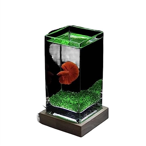 Aquarium Aquarium, quadratisch, hochtransluzent, Kampffischbecken mit Holzsockel, tropisches Aquarium, verdicktes Glas, Desktop-kleines Aquarium Desktop-Aquarium (Color : Groen) von AOKLEY