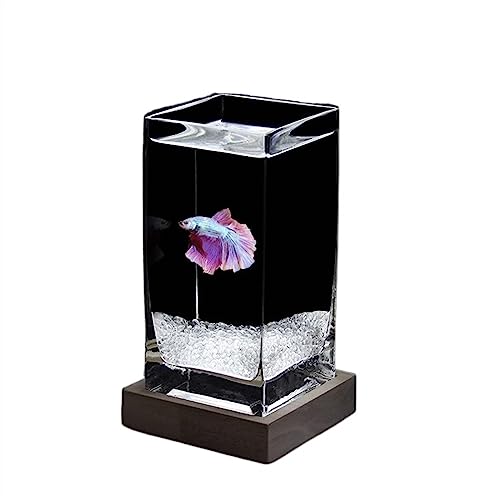 Aquarium Aquarium, quadratisch, hochtransluzent, Kampffischbecken mit Holzsockel, tropisches Aquarium, verdicktes Glas, Desktop-kleines Aquarium Desktop-Aquarium (Color : White02) von AOKLEY