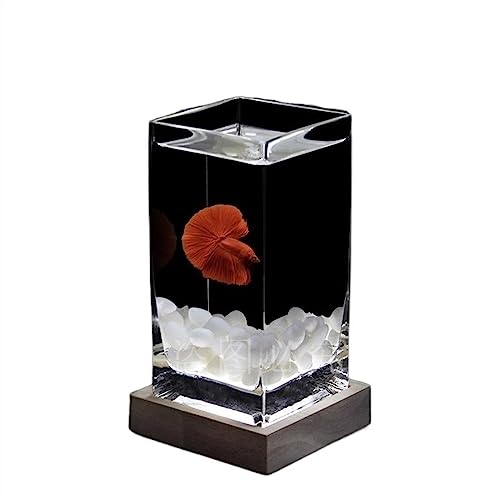 Aquarium Aquarium, quadratisch, hochtransluzent, Kampffischbecken mit Holzsockel, tropisches Aquarium, verdicktes Glas, Desktop-kleines Aquarium Desktop-Aquarium (Color : Wit) von AOKLEY