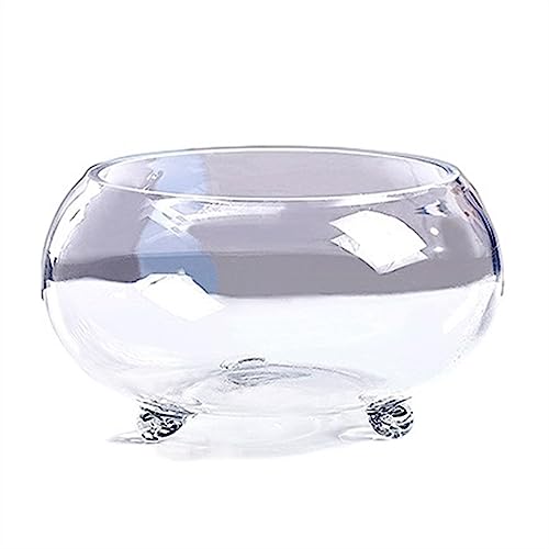 Aquarium Aquarium, verdicktes transparentes Glas-Tank, Schildkröten-Tank mit Unterstützung, Kleiner Fuß, ökologisches Aquarium, Zuhause, Wohnzimmer, Büro, Desktop Desktop-Aquarium (Size : L) von AOKLEY