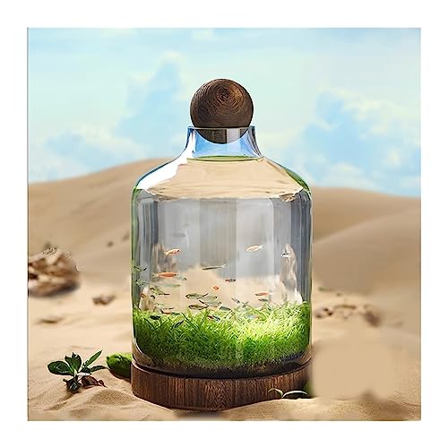 Aquarium Aquarium-Glasflasche, ökologische Kultur, Mikrolandschaft, selbstzirkulierender Kleiner Pflanzentank mit Tischdekoration auf Holzbasis Desktop-Aquarium (Size : L) von AOKLEY