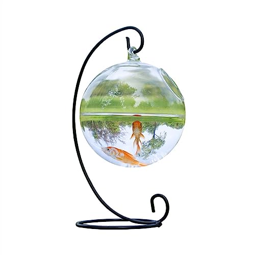 Aquarium Aquarium Hängendes Glas Aquarium Tank Transparent verdickt mit Eisenhalterung Aquarium Kleiner minimalistischer ökologischer Tank Desktop-Aquarium von AOKLEY